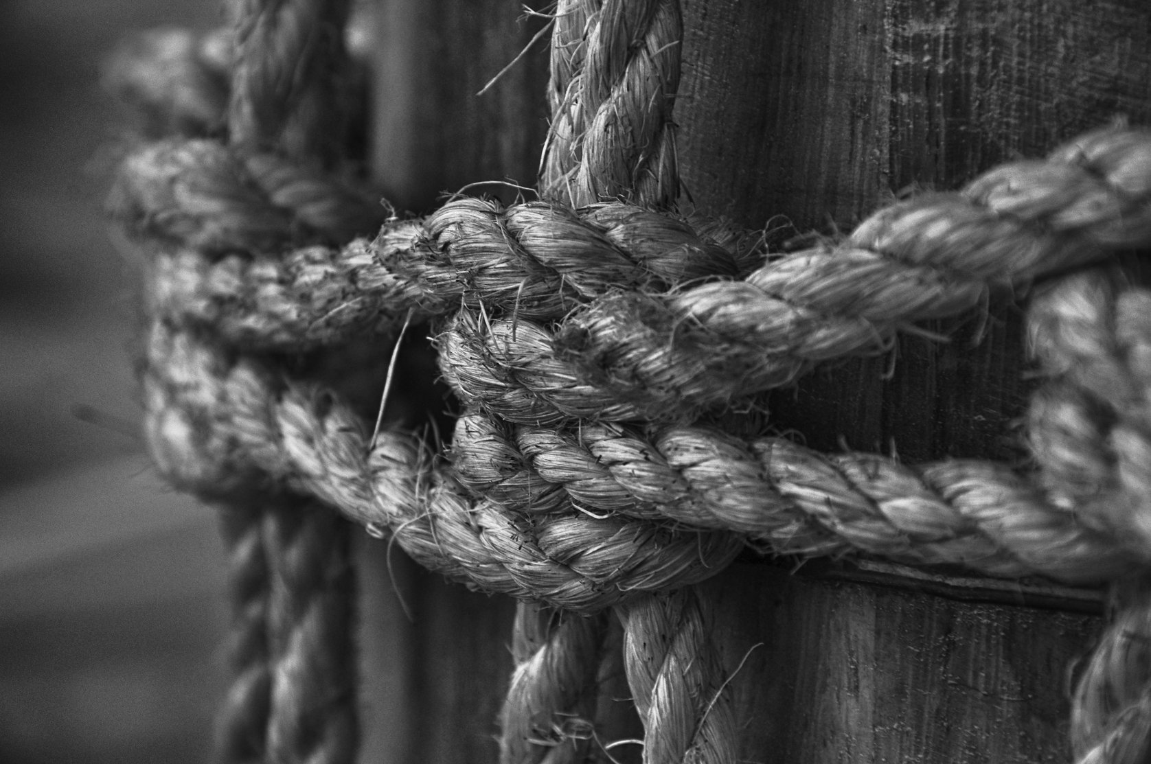 Braided Rope.jpg