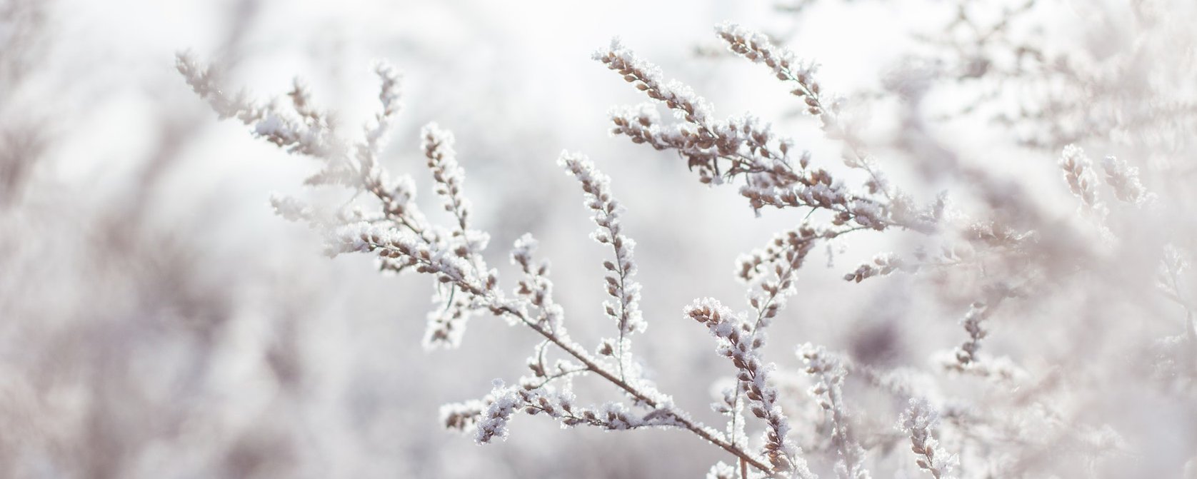 PLC_Winter_2023_Header.width-1676