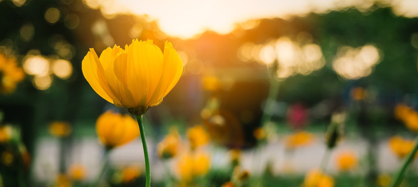Spring_PLC.width-1676